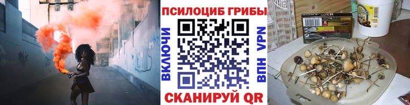 Псилоцибиновые грибы Psilocybe  что такое наркотик  Десногорск 