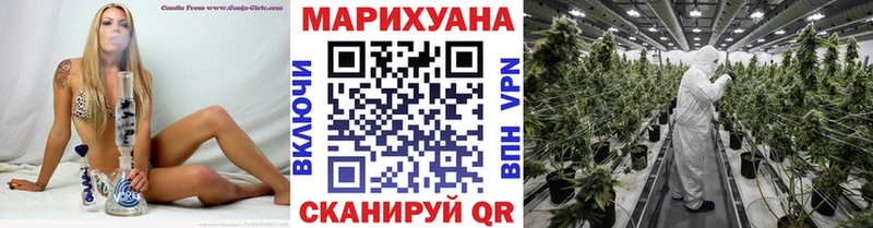 Шишки марихуана план Десногорск